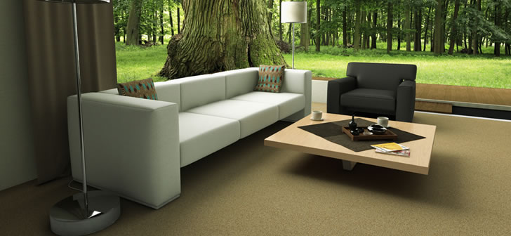 Stainmaster and Karastan Carpet Center